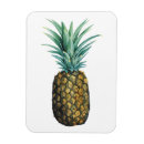 Suche nach frucht magnete Aquarell