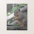 Suche nach nuss puzzle Niedlich