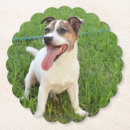 Suche nach foxes untersetzer Für alle