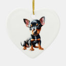 Suche nach pinscher ornamente Welpe