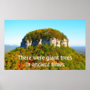 Suche nach riesiger baum poster Natur
