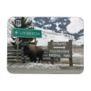 Suche nach bison magnete Souvenir