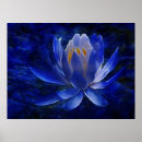 Suche nach lotus flower poster Flowers