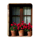 Suche nach keine fenster magnete Gebäude