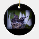 Suche nach kolibris ornamente Weihnachten