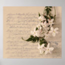 Suche nach jasmin poster Blume