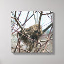 Suche nach vogelnest leinwandbilder Natur