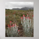 Suche nach texas landschaft poster Pflanze
