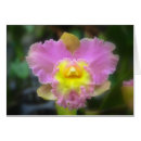 Suche nach cattleya orchidee postkarten Tropisch