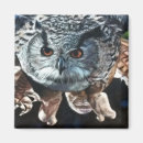 Suche nach beute magnete Vogel