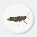 Suche nach grasshopper magnete Fehler