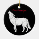 Suche nach kojote ornamente Südwesten
