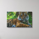 Suche nach tiger leinwandbilder Schön