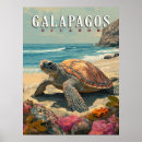 Suche nach galapagos poster Tierwelt