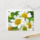 Suche nach kleine blumen postkarten Für sie