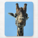 Suche nach lustige giraffe mousepads Jede person