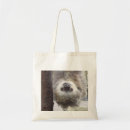 Suche nach sloth taschen Trägheit