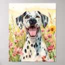 Suche nach dalmatinischer hund poster Portrait