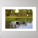 Suche nach australische vögel poster Kakadu