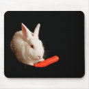 Suche nach spezielles mousepads Haustier