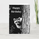 Suche nach waschbär geburtstag karten Natur