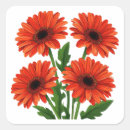 Suche nach roter gerbera aufkleber Blume