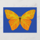 Suche nach butterfly postkarten Quelle