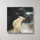 Suche nach wolf leinwandbilder Inspirierend