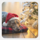 Suche nach weimaraner hund aufkleber Jede person