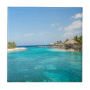 Suche nach tropisches wasser fliesen Palmen