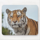 Suche nach wilde tiger mousepads Computer