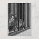 Suche nach katze im fenster postkarten Niedlich