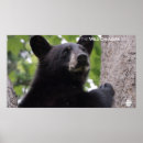 Suche nach dokumentarisch poster Natur