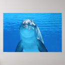 Suche nach niedlicher delphin poster Blau