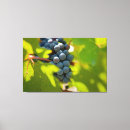 Suche nach weintraube leinwandbilder Obst