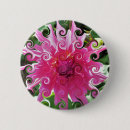 Suche nach dahlie buttons Pflanze