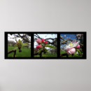 Suche nach obstgarten poster Äpfel