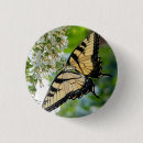 Suche nach schwarzer schmetterling buttons Natur