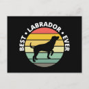 Suche nach schwarzer labrador postkarten Hunde