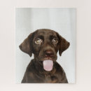 Suche nach schokoladen labrador puzzle Welpe