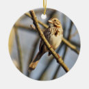 Suche nach spatz ornamente Natur