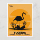Suche nach florida flamingo postkarten Tourismus