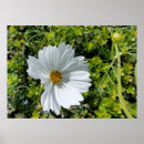 Suche nach haus und garten poster Herbst