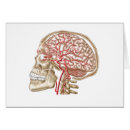 Suche nach menschliches auge postkarten Augapfel