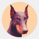 Suche nach doberman aufkleber Hund
