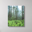 Suche nach redwood leinwandbilder Landschaft