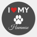 Suche nach havanna aufkleber Hund