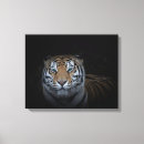 Suche nach bengalischer tiger leinwandbilder Natur