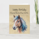 Suche nach shetland pony karten Für alle