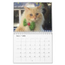 Suche nach auge kalender Wald